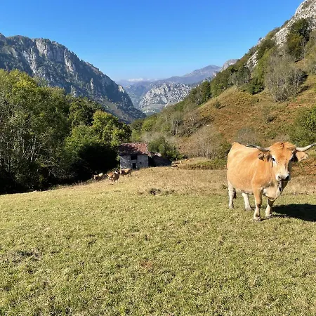 Apartment Lapaserina-a Arenas De Cabrales