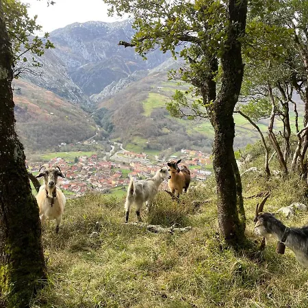 Lapaserina-a Appartamento Arenas De Cabrales