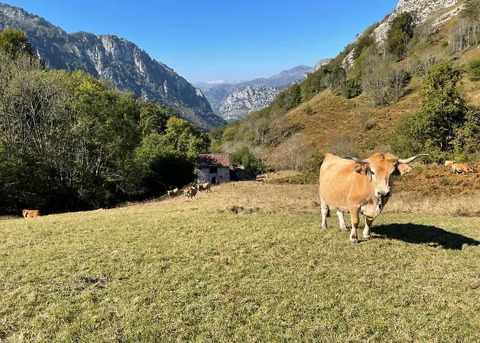 Apartament Lapaserina-a Arenas De Cabrales