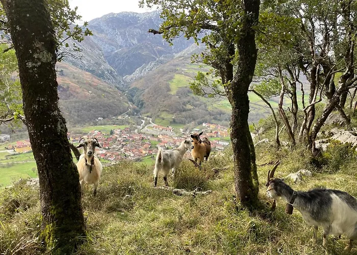 Lapaserina-a Apartament Arenas De Cabrales