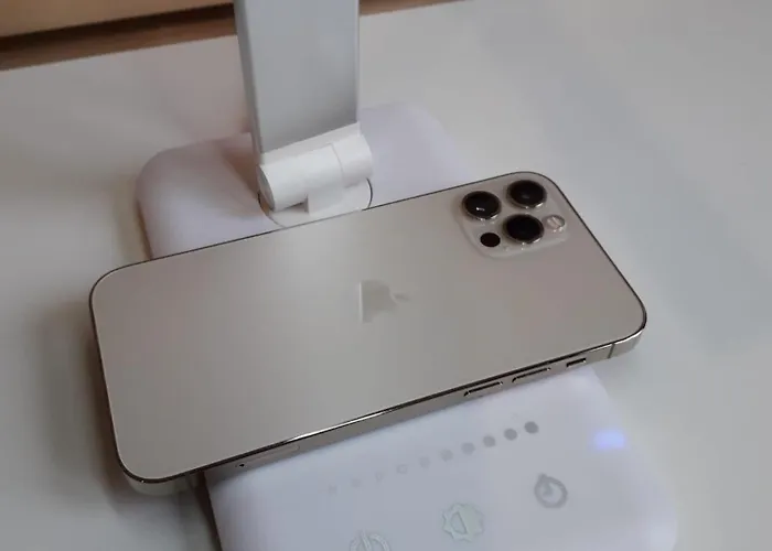 Apartament Lapaserina-a